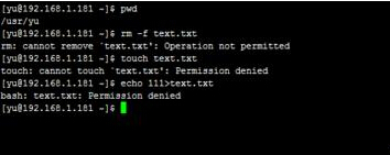 linux中使用root权限都删除不了的文件该怎办?1