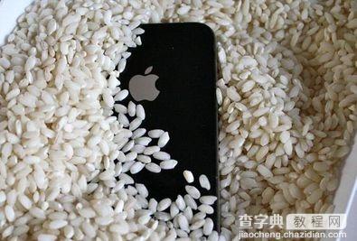 iphone6s掉水里怎么办？2