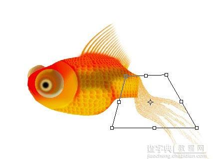 photoshop鼠绘逼真的金鱼29