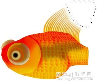 photoshop鼠绘逼真的金鱼25