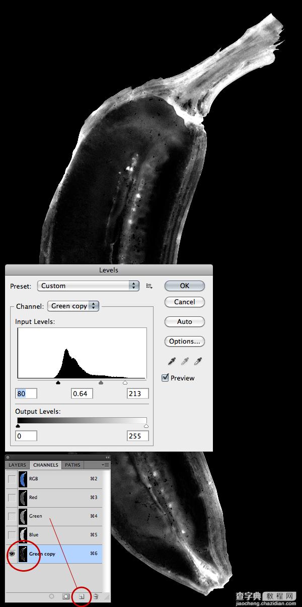 photoshop绘制一个模拟X射线香蕉图像4