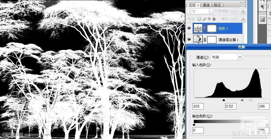 Photoshop抠图教程：抠出复杂的树林4