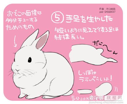 SAI动漫兔子画法参考6