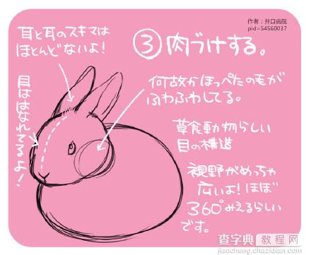 SAI动漫兔子画法参考4