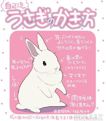 SAI动漫兔子画法参考1