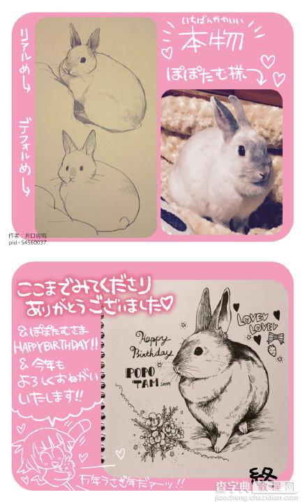 SAI动漫兔子画法参考9