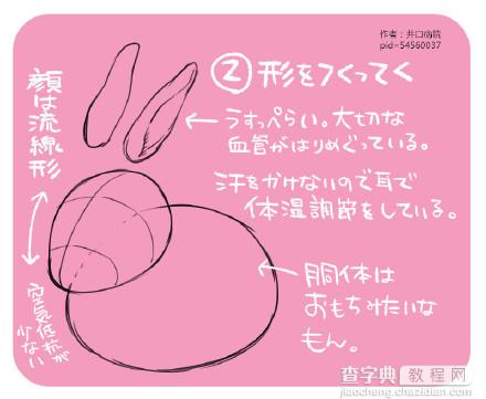 SAI动漫兔子画法参考3
