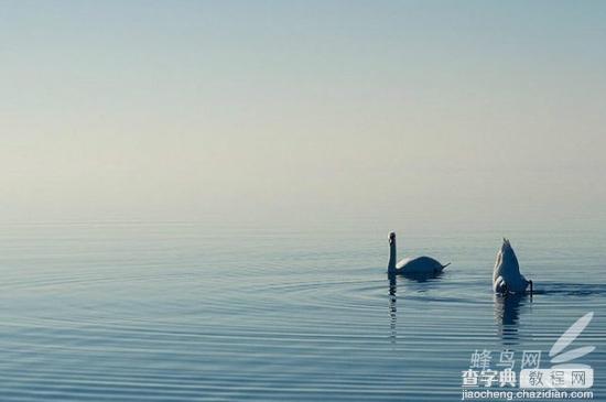 小技巧让你玩转手机摄影极简主义2