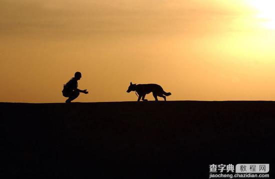 如何拍出漂亮的剪影作品1