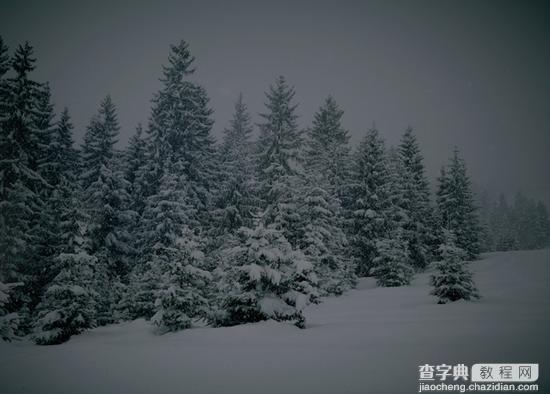 拍摄美丽雪景的四点诀窍2