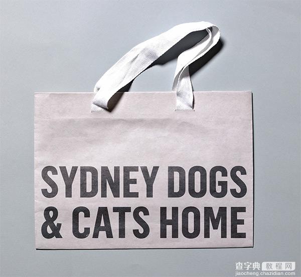 悉尼一家广告公司为小猫小狗做的不是一个Logo16
