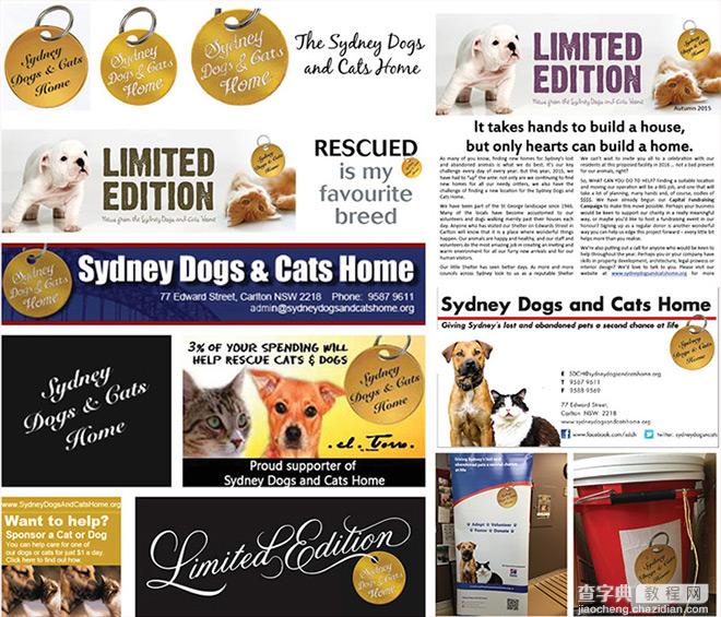 悉尼一家广告公司为小猫小狗做的不是一个Logo2