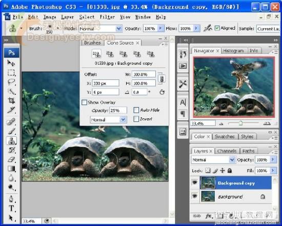 体验Photoshop CS3 Beta新特性33