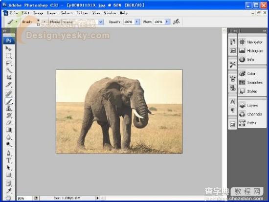体验Photoshop CS3 Beta新特性6