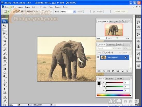 体验Photoshop CS3 Beta新特性4