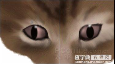 Photoshop鼠绘教程：可爱的小猫12