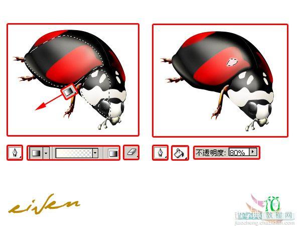 Photoshop鼠绘教程:一只逼真的瓢虫13