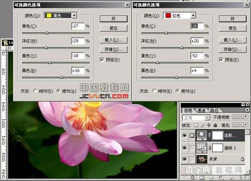 Photoshop花卉后期处理技巧4