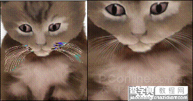 Photoshop鼠绘教程：可爱的小猫23