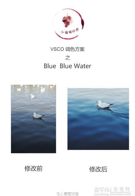 VSCO 傻瓜调色教程3