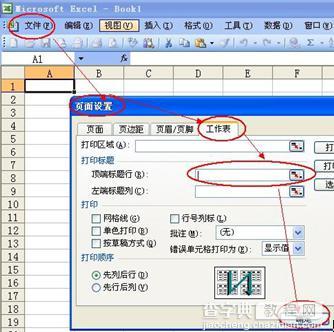 Excel不能给页眉应用彩色格式1