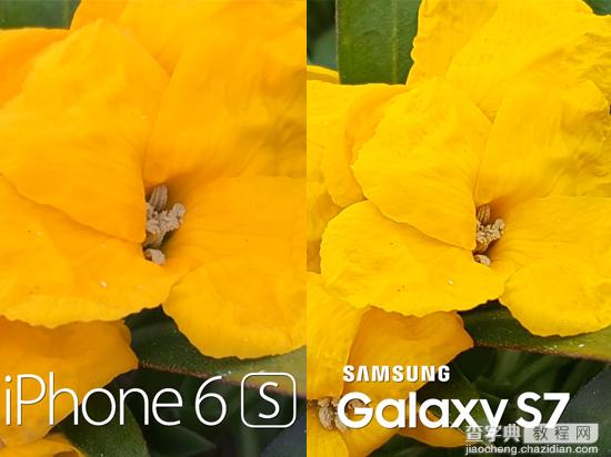 三星S7拍照性能对比苹果iPhone6s1