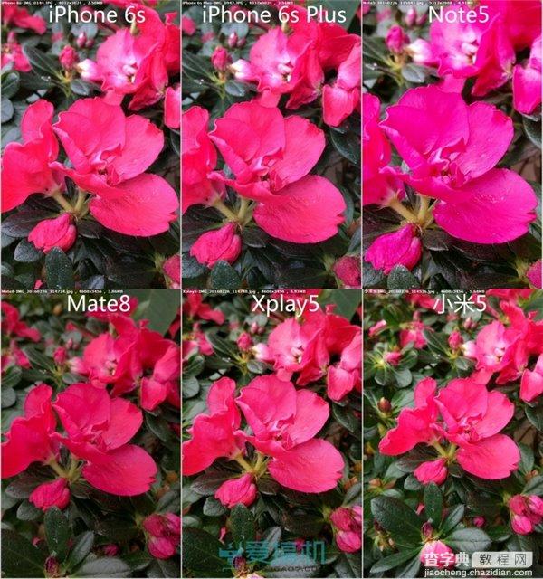 小米5拍照对比华为Mate8/Xplay5/三星Note5/iPhone6s4