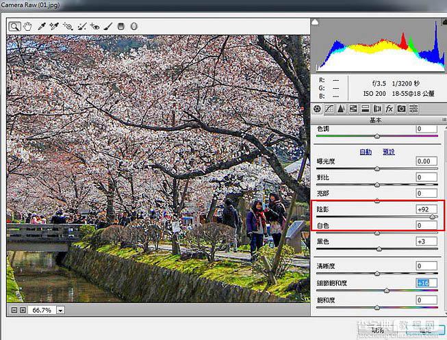 Photoshop将樱花风图片转为梦幻效果6