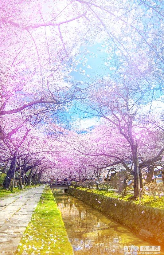 Photoshop将樱花风图片转为梦幻效果2