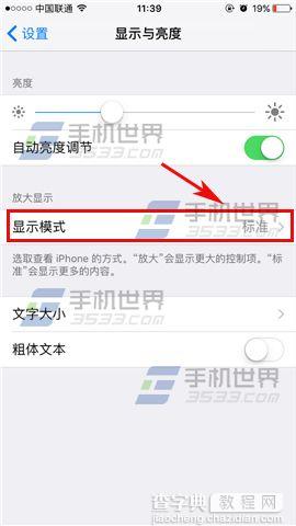 苹果iPhoneSE应用图标大小怎么切换3