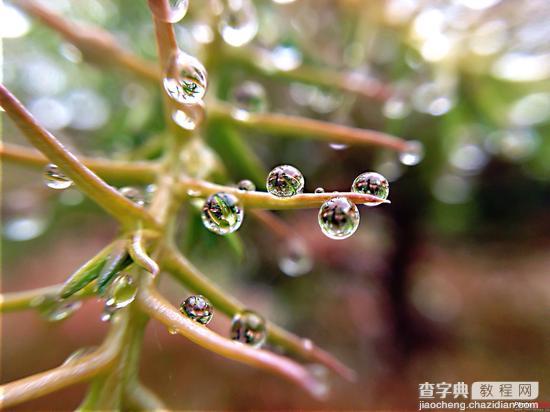 雨天拍摄有哪些创意思路11
