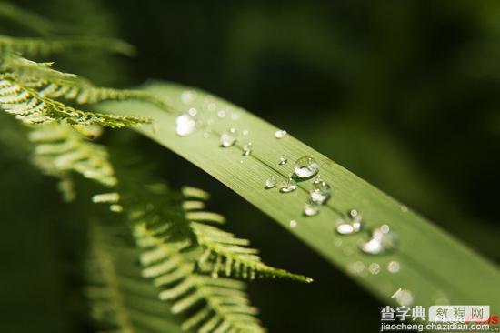 雨天拍摄有哪些创意思路10