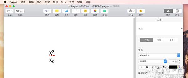 苹果电脑pages上下标怎么设置3