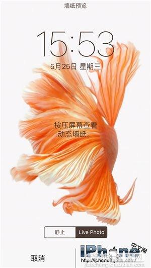 iPhone6s动态壁纸动不了怎么办？3