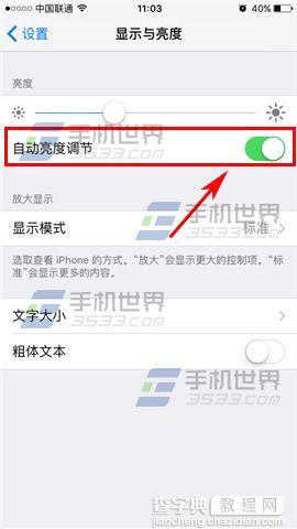 苹果iPhoneSE自动亮度调节怎么关闭3