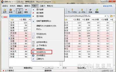 Beyond Compare隐藏和显示文本细节方法3