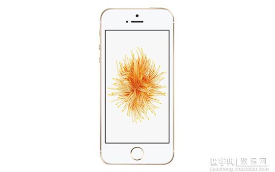 苹果iPhoneSE怎么减弱动态效果1