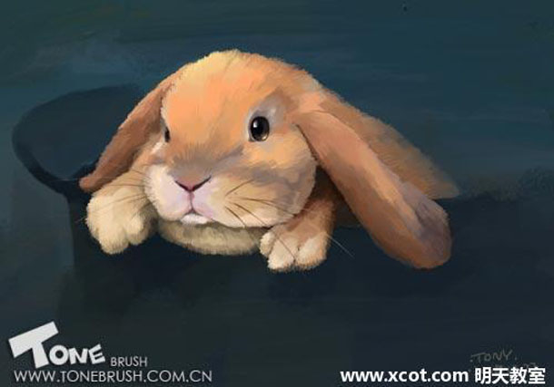 Painter绘制可爱的兔子插画教程1