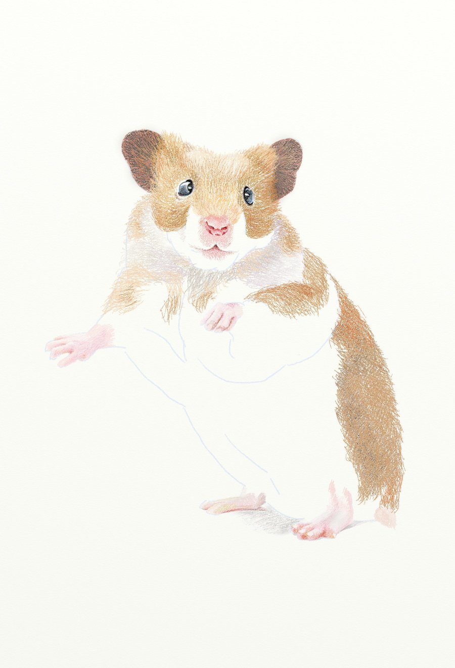 painter绘制一只可爱的小老鼠插画11