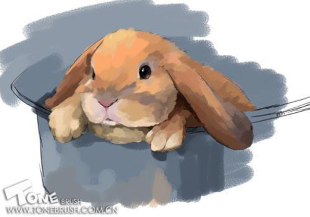 Painter绘制可爱的兔子插画教程4