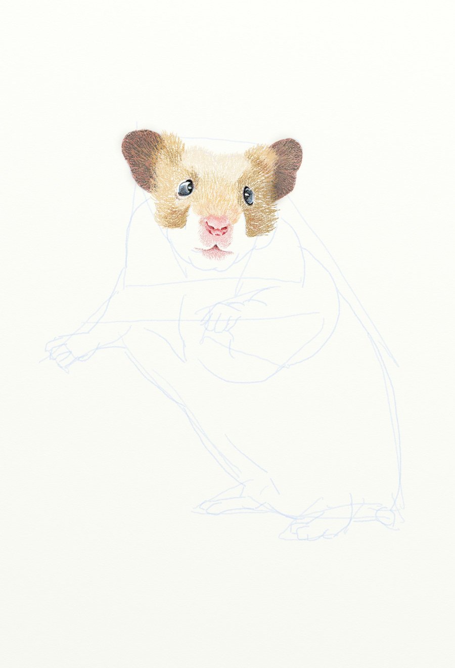 painter绘制一只可爱的小老鼠插画7