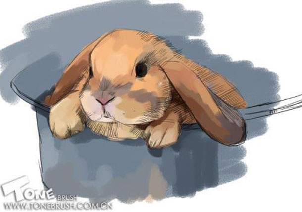 Painter绘制可爱的兔子插画教程3