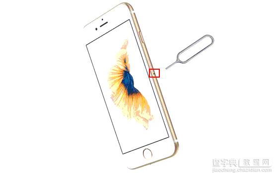 苹果iPhone7Plus插SIM卡方法1