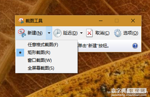 Win10截图技巧有哪些5