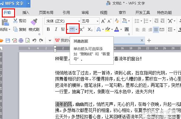 WPS2016如何插入删除线？2
