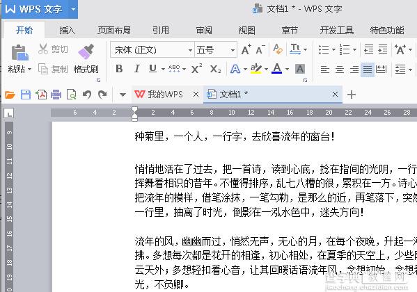 WPS2016如何插入删除线？1