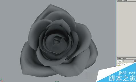 maya7.0制作漂亮的红玫瑰花建模16