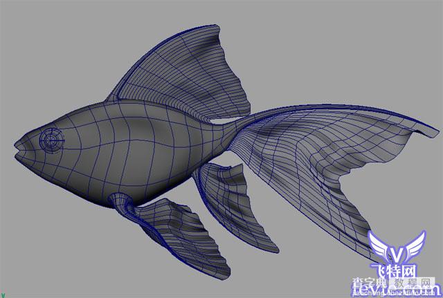 Maya教程 制作鱼的模型全过程13