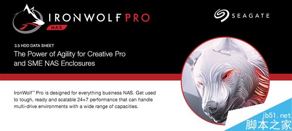 希捷发布IronWolf Pro NAS硬盘:最强10TB/耐用性极佳1