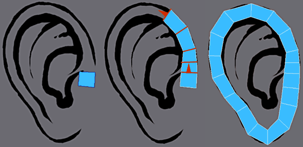 3ds Max建模教程：多边形耳朵2